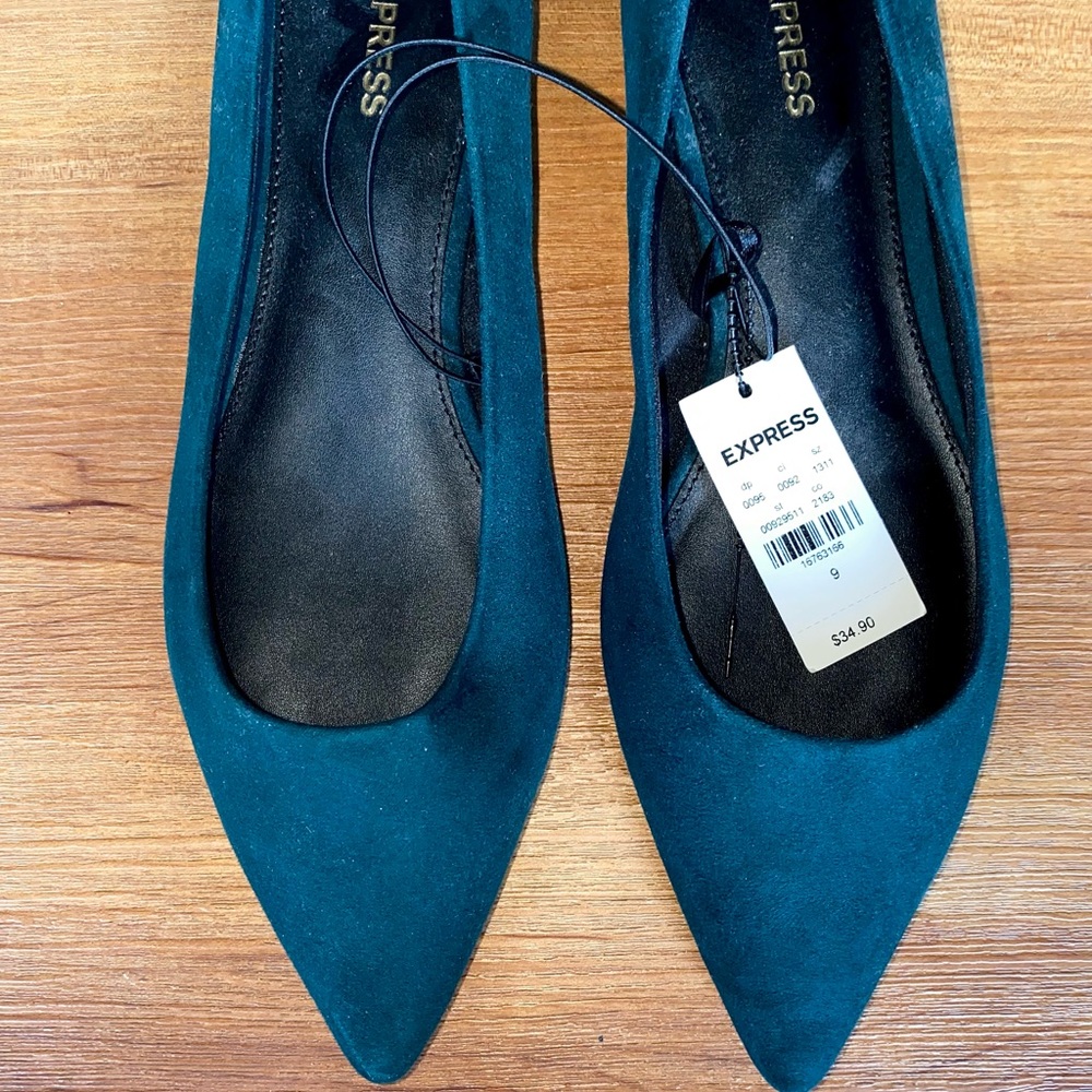 *Never worn* Express Pointed Toe Flats